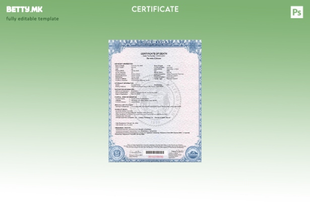 Модерен стил шаблон за уверение за смрт од државата Јута во САД во шаблон за фор